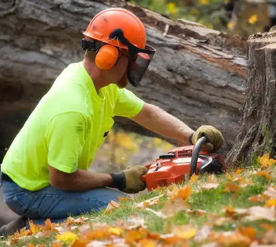 tree services Gueydan